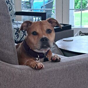 Meet your Posher, Sherry